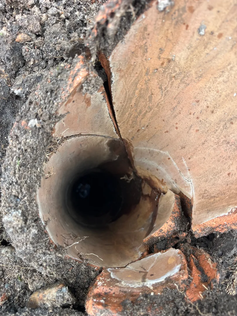 A cracked clay sewer pipe end dug up out of the ground, with the bore of the pipe showing.