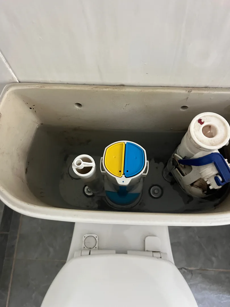 The inside of a toilet cistern with the lid off, showing the dual-flush valve and the inlet valve.